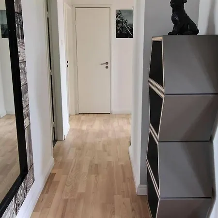 3 Pieces En Plein Centre De Страсбург